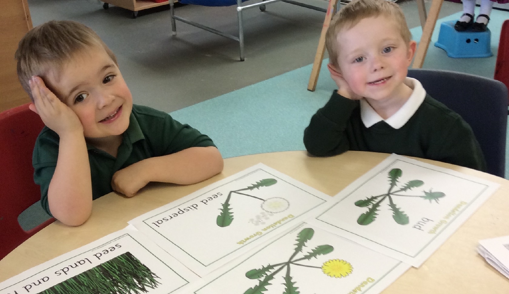 Laurelbank school system image